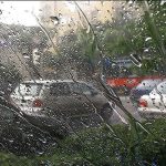 شاهد گوشه‌ای از جلوه‌های طبیعت: بارش دل‌انگیز باران بهاری در شیراز + کلیپ تماشایی