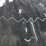کشف نادر: مارهای غول‌پیکر ۴۰ متری در ونزوئلا به دام افتادند!