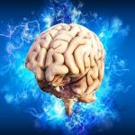 رازهای پرهیز از پیری ذهن: روش‌های کلیدی برای حفظ جوانی و تندرستی مغز