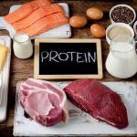 چگونه پروتئین هر روزه شما را سرحال نگه می‌دارد: رازهای منابع گیاهی و حیوانی