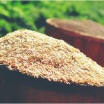 کشف معجزه‌ی سلامت: فواید باورنکردنی سبوس برنج!