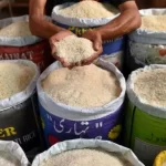 تخفیف شگفت‌انگیز! قیمت برنج ایرانی با ۶ درصد تخفیف به شما ارائه می‌شود