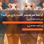 آیا دنیای هیجان‌انگیز بازی همستر کامبت رو تجربه کردین؟