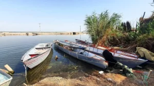 کشف مسیر نهفته: راز آبراه کوچک در دل هور عمیق