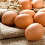 راهکارهای اسرارآمیز برای حفظ تازگی تخم‌مرغ: چگونه فساد را شکست دهیم؟