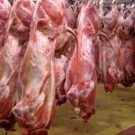 رکورد جدید قیمت‌ها: گوشت قرمز در بازار امروز شنبه، ۹ تیر ۱۴۰۳، به قله‌های جدیدی رسید!