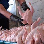 آخرین اخبار سرسام آور از بازار: قیمت گوشت مرغ در تاریخ 12 تیر 1403 – نگاهی تازه و جذاب به امروز سه شنبه!