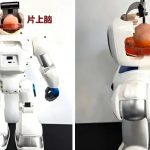چین در مسیر انقلابی نوین: ساخت ربات‌های هیبریدی مجهز به مغز انسان!