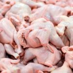 جدیدترین نرخ گوشت مرغ اعلام شد: بازار دوشنبه ۱۱ تیر ۱۴۰۳