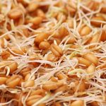راهکاری موثر برای افزایش وزن: دلایل و روش استفاده از پودر جوانه گندم