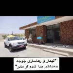 (ویدئو) رهاسازی چهار جغد شاخدار در طبیعت چهارمحال و بختیاری