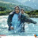 «در آغوش درخت» به امارات می‌رود – اخبار سینمای ایران و جهان