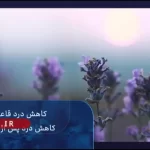 (ویدئو) خواص گیاه اسطوخودوس