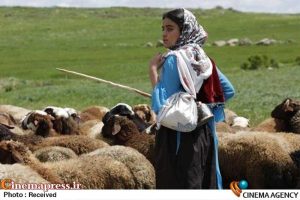 جایزه بهترین فیلم بخش سرزمین‌های نامرئی ایتالیایی‌ها به «دشت می‌خواند» رسید – اخبار سینمای ایران و جهان