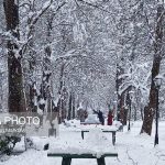 وضعیت دما و بارش کشور تا نیمه اسفندماه