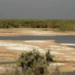 ۹ تالاب ایران بیابان شد