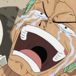 پخش انیمه One Piece برای چند ماه متوقف می‌شود