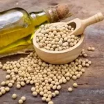 روغن سویا؛ خواص، مضرات و مقایسه آن با روغن‌های دیگر