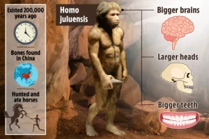 کشف یک گونه جدید انسانی با مغز و سر بزرگ ‌تر توسط باستان ‌شناسان چینی