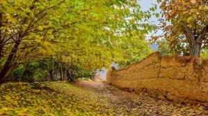 فرار از آلودگی به آغوش اکسیژن ؛ تمیز ترین روستاهای اطراف تهران برای یک نفس سالم