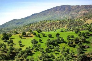 کارزار ثبت روز ملی زاگرس در تقویم رسمی ایران