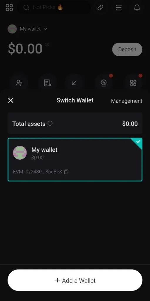 my wallet در کیف پول بیت گت