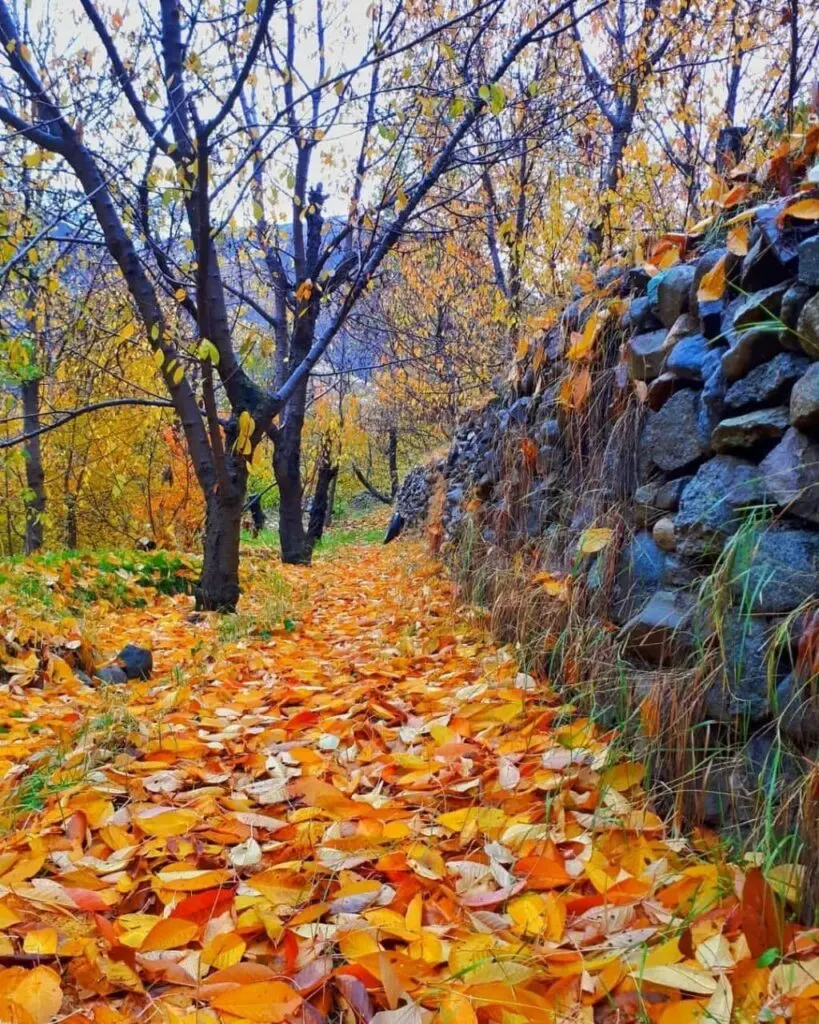 روستای سنگان 4