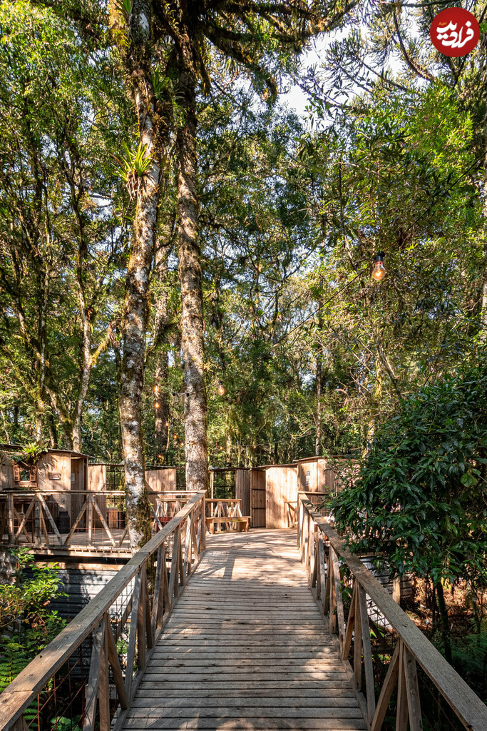 wooden-toilet-cabins-treetops-native-forest-sao-francisco-luiza-jung-arquitetura-designboom-24