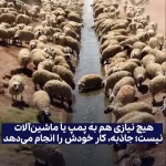 دانش باستانی ایرانی مایه حیرت جهان شد + ویدئو