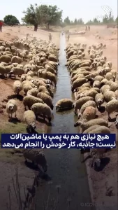 دانش باستانی ایرانی مایه حیرت جهان شد + ویدئو