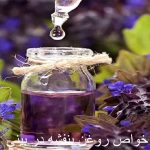 خواص روغن بنفشه در بینی برای سینوزیت و سردرد + طریقه چکاندن روغن بنفشه در بینی