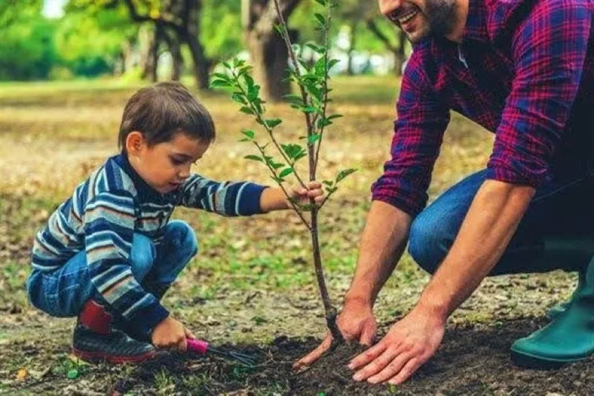 تولید و توزیع 660 هزار اصله نهال در گلستان