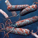 آخرین وضعیت بیماری وبا در ایران