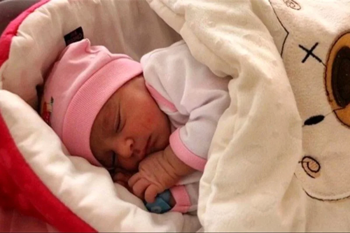 جمعیت کشور سالانه هفت درصد کاهش می‌یابد