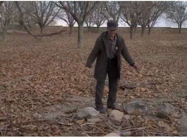 «مزرع سبز فلک» به تلویزیون می‌آید – اخبار سینمای ایران و جهان