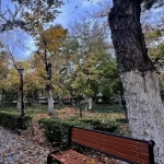 50 درصد بوستان‌های پایتخت آفت زده‌اند