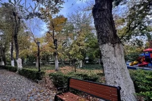 50 درصد بوستان‌های پایتخت آفت زده‌اند