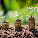 چگونه امارات و عربستان به رهبران مالی سبز خاورمیانه تبدیل شدند؟