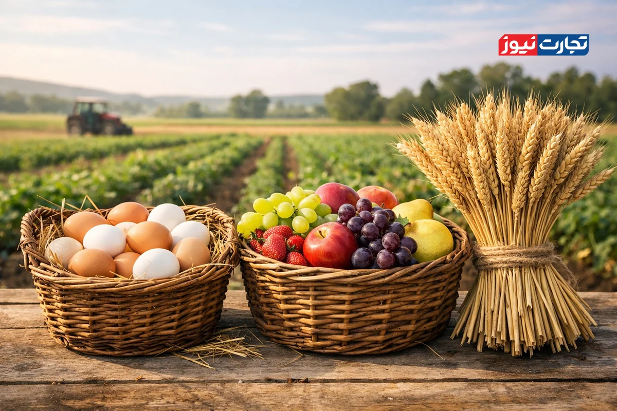 ۵۰۰ میلیون دلار فرصت صادراتی محصولات کشاورزی از دست رفت