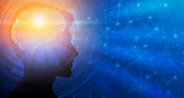 تحقیقات جدید نشان می‌دهد که رشد مغز ممکن است تا 30 سالگی ادامه یابد