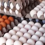 مقاومت بازار در برابر کاهش قیمت تخم مرغ