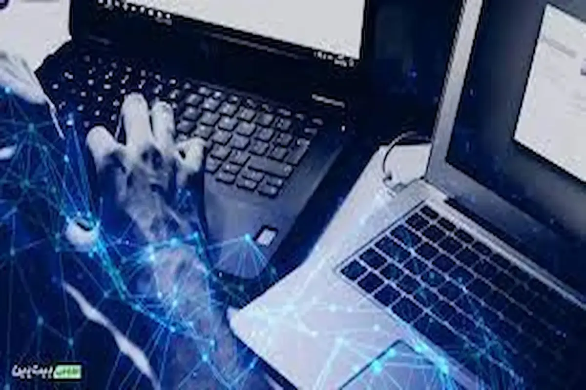 حمله سایبری به بخش‌های حیاتی امارات