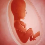 آمارهای سقط جنین غیرقانونی قابل اتکا نیست