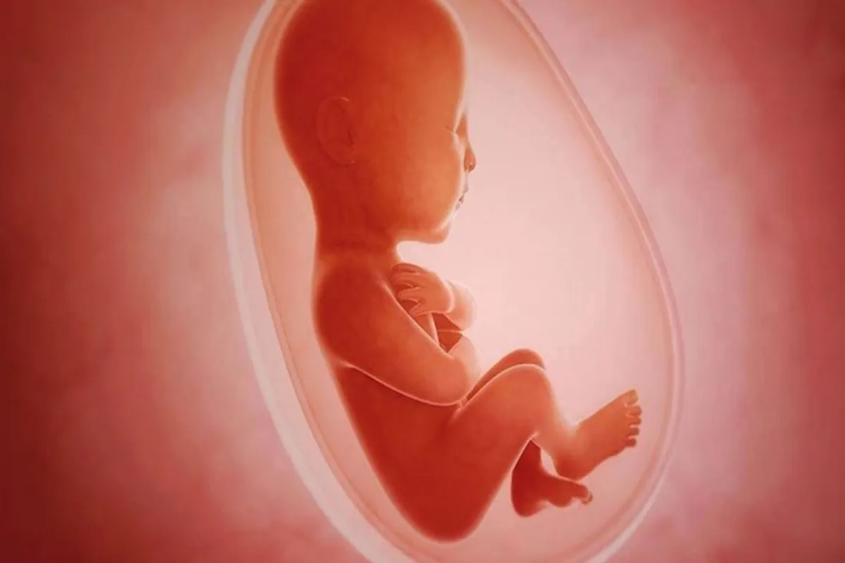 آمارهای سقط جنین غیرقانونی قابل اتکا نیست