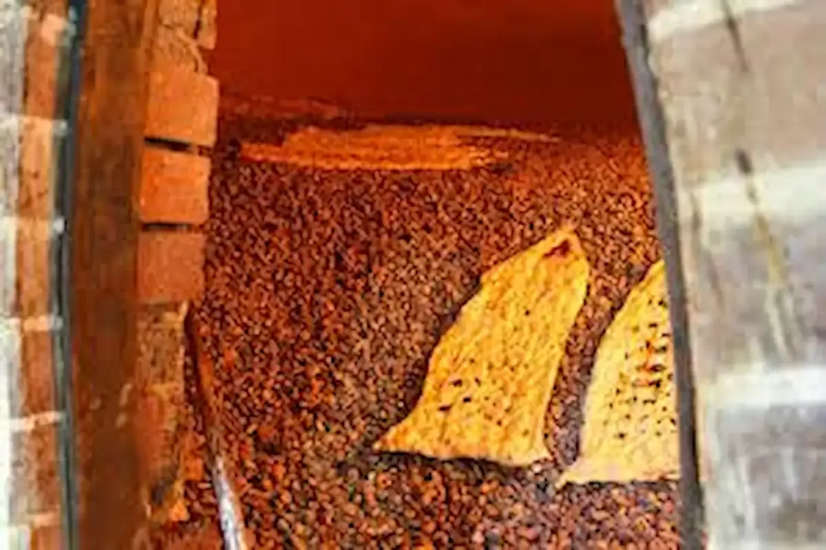 دولت در 1405 چه برنامه‌ای برای قیمت نان دارد؟